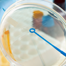 Functionalized glycans